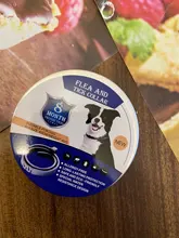 Collar que elimina pulgas y garrapatas para perros y gatos, repelente de mosquitos e insectos, Collar para gatos de pulga y garrapata de hasta 8 meses