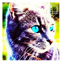 Soporte de cabezal de ducha ajustable, rotación Universal, soporte de cabezal de ducha