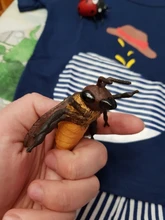 Figuras de simulación nueva para niños, modelo de animales, abejas, avispas, miniinsectos, juguetes cognitivos, juguetes educativos para edades tempranas