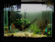 Water-Plant-Lighting Aquarium Chihiros 2-Led-Light-Upgrade App-Control Specturn Bluetooth