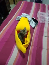 Banana Shaped Cat Bed House Warm Cozy Puppy Cushion Kennel Portable Soft Pet Sofa Cute