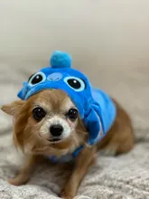 Overalls Jacket Coat Pets-Costumes Puppy Small-Dogs Funny Soft Chihuahua Winter Fleece
