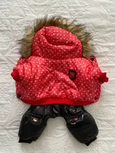 Coat Dogs-Clothing Dot-Pattern Winter Hooded Pet-Dogs New Xl To High-Quality