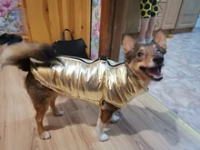 Coat Jacket Vest Bulldog-Clothing Puppy Dogs-Chihuahua French Waterproof Large Winter