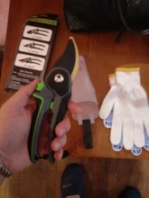 DTBD-tijeras de podar para jardinería, tijeras de acero inoxidable para Injerto de ramas de frutas y flores, herramientas de corte para el hogar