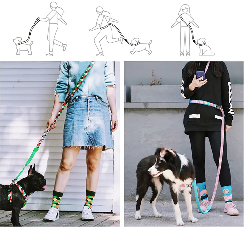 Hiking Training Walking Modern Retractable Bungee Leash Hands Free Dog Leash for Running Pale Pink