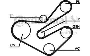 

CONTITECH V-Ribbed Belt Set for PEUGEOT 306 806 406 PARTNER CITROEN XANTIA XSARA BERLINGO C5