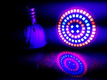 Grow-Lamp Lights-Plants E27-Hydroponic-System Indoor-Lighting 80leds Full-Spectrum 220V