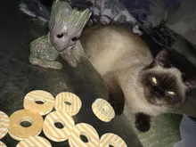 Bobina de espuma para tablero de pesca, placa de bobina principal, cable giratorio para tablero, caja de herramientas de pesca, nueva bobina para pesca, engranaje de pesca, 10 Uds.