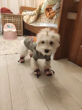 Dog Winter Sweater Pet-Dog Puppy-Cat Knitted Chihuahua for Small Clothing Ropa-Perro