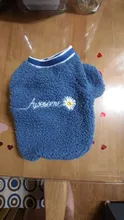 Pet-Outfits Hoodie Daisy-Letter Yorkies Blue Winter Fashion Cute Boy Velvet Ropa Perro
