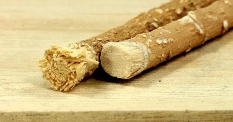 Набор из 10 свежих зубная щетка из природных материалов Miswak Arak, Siwak, Miswaak