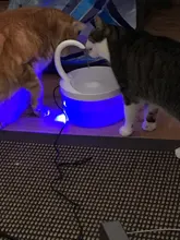 Water-Dispenser Fountain Cat-Drinking-Water Automatic New Intelligent Circulating