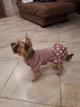 Dog-Dress Dogs-Skirt Yorkshire Summer Chihuahau Dot 