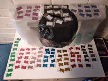 Puppy-Tag Name-Number-Tags Engraving Dog-Id-Tag Pet-Dog Collars-Bone Anodizing Customized