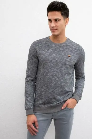 U.S. POLO ASSN. Обычные толстовки