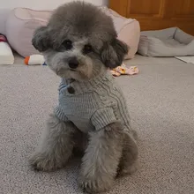 UFBemo Knitted Cable Dog Sweater Dachshund Cat Pull Chien Teckel Clothes Christmas Winter