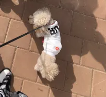 Dog Hoodies Jacket Costume Coat French Bulldog Chihuahua Winter for Pets-Clothing