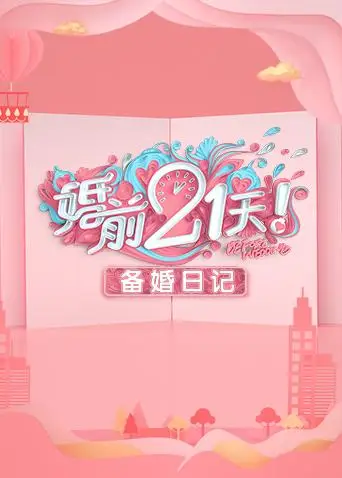 婚前21天 备婚日记 普通话高清海报
