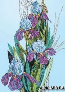 

Вн1027 set for embroidery alisena 'ирисы', 18*25 cm