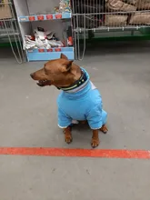 Winter Overalls for Dogs Warm Waterproof Pet Jumpsuit Trousers Male/ Female Dog Reflective