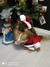 Apparel Costume Christmas-Clothes Dog-Suit Pet-Coat Santa-Claus with Winter Gomaomi Cap