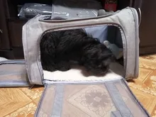 Dog-Carrier-Bag Travel-Bags Dog-Backpack Transport Soft-Side Airline-Approved Cats Small