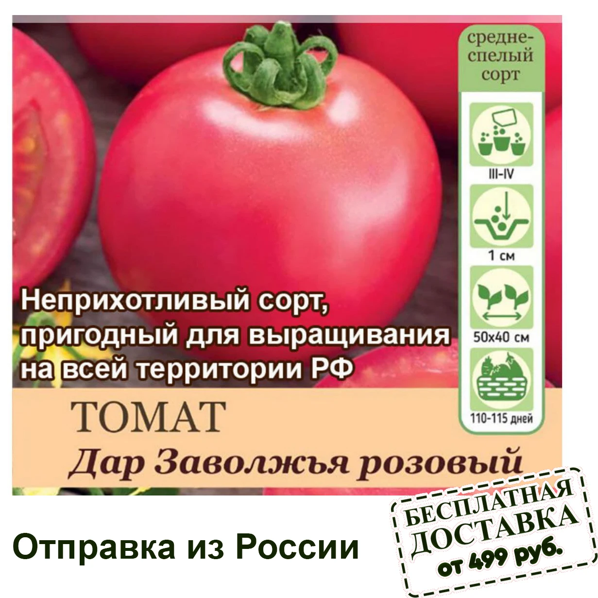 Tomato gift zavolzhya pink seeds 10 PCs unpretentious variety suitable for growing throughout the territory of Russian Federation | Дом и сад