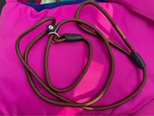 Correa para adiestramiento de perros, correa de nailon para mascotas, Collar de tracción ajustable, S/M/L