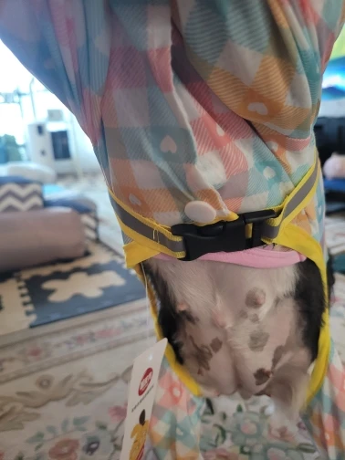 Reflective Raincoat With Cute Patterns For Dogs photo review