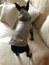 Coat Puppy Clothing Pet-Dog-Jacket Dogs Chihuahua Yorkshire Hoodies Outfit Small Winter