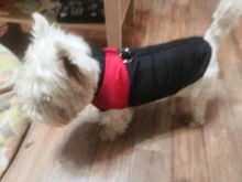 Coat Jacket Puppy-Vest Dogs Waterproof Winter Medium Pet-Dog Zipper Small Large Warm