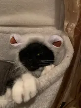 Disfraz de perro o gato Peluca de melena de León, gorro para gato, perro, ropa de Halloween y Navidad, vestido de lujo con orejas, ropa para mascotas
