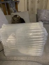 Dispensador de agua automático con forma de caracol para gatos, fuente para mascotas, tazón para beber grande, sin electricidad