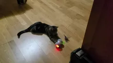 Juguete interactivo para gatos con modo giratorio inteligente, juguete para gatos, divertido juego electrónico para gatos, juguetes con plumas