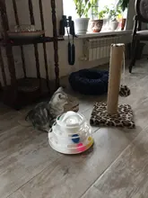 Ball Cat-Toys Play Cat Intelligence Tower-Tracks-Disc Training Amusement-Plate