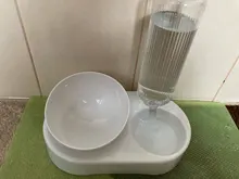 Pet-Bowl Raised-Stand Dog-Feeder Double with Cat 