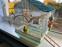 Bird Parrot Toys Ladders Cockatiels Wooden Climbing Cage-Supplies Perches Hanging-Swing-Hammock