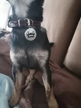 Id-Collar Pendant-Supplies Pet-Name-Tag Customized Dog Metal Personalized Engraving Puppy