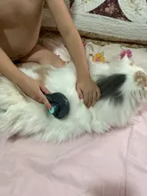 High Quality Pet Comb Self Cleaning Brush Professional Grooming Brush for Dogs and Cats