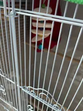 PipiFren Cuttlefish Bone Bird Toys For Parrots Budgie And sepia Pets Perch Parakeet Cockatiel