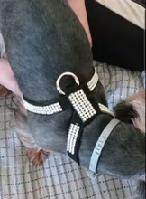 Leash Pet-Necklace Pet-Products Dog-Harness Rhinestone Bling Quick-Release Adjustable