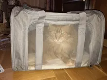 Dog-Carrier-Backpack Transport-Bag Pet-Carrying-Box Small Dog Cats 