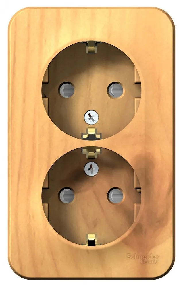 розетка 2сп blanca комп. розетка schneider electric blanca blnra000415,16а, дерево. розетка schneider electric blanca с заземлением. розетка ясень. розетка ясень.