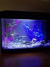 Accessorie Aquarium-Equipment Landscaping-Decoration Glass Fish-Tank Resin Artificial