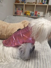 Jacket Coat Vest Pet-Dog Dogs Chihuahua Waterproof Winter Large for Big Autumn Warm Clothing-For-Dogs