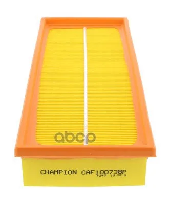 Air Filter Champion. CAF100738P