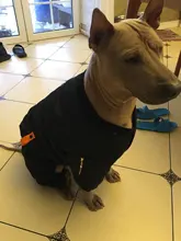 HOOPET Large Coat Down-Jacket Winter New Warm Autumn for Dogs Dog-Prints Overalls Leisure-Style