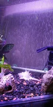 Air-Pump Bubble-Stone Tank Mini Aquarium Sucker Mute for Table-Increase Hang Low-Sound