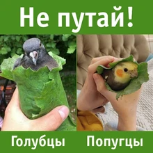 1PC profesional de los hombres brocha de afeitar con mango de madera de Nylon puro para hombres de limpieza de máscara cosméticos herramienta